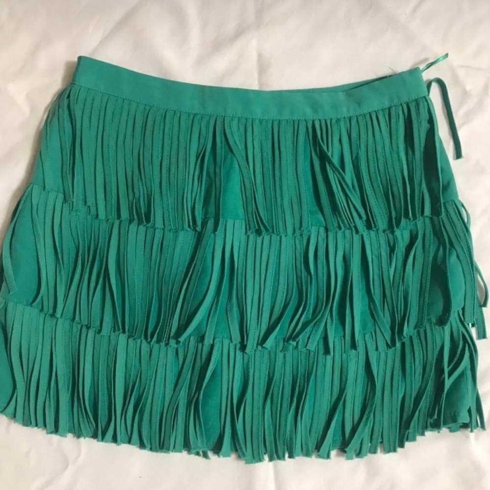 Zara skirt - Picture 1 of 2